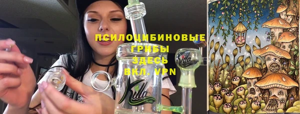 а пвп мука Ельня