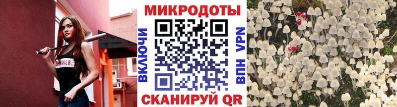 Псилоцибиновые грибы Cubensis  Купить где  Печоры 